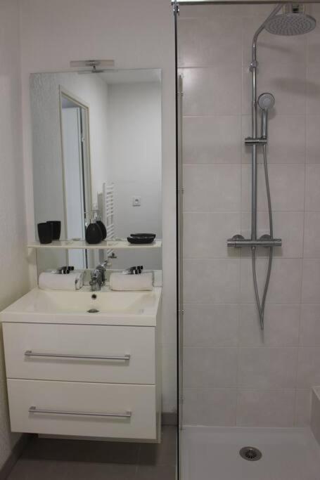 Appartement De Charme - Proche Centre-Ville Et Gare Montpellier Eksteriør billede